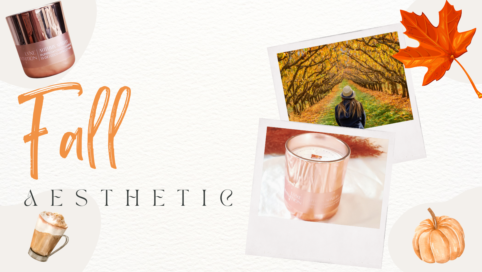 WoodWick® Candles Introduces Exquisite New Seasonal Fragrance Collection,  Just in Time For Autumn